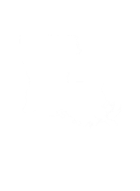 https://s3.us-west-1.wasabisys.com/ecart-content/goodnine.com/overlays/399/238/39923824.png img