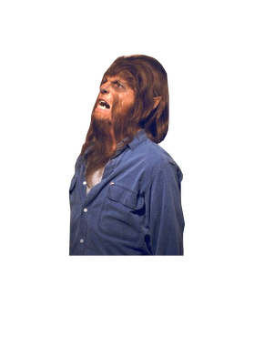 https://s3.us-west-1.wasabisys.com/ecart-content/goodnine.com/overlays/399/425/39942579.png img
