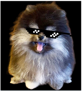 overlay