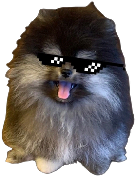 https://s3.us-west-1.wasabisys.com/ecart-content/goodnine.com/overlays/399/426/39942621.png img