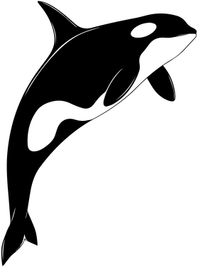 https://s3.us-west-1.wasabisys.com/ecart-content/goodnine.com/overlays/399/764/39976446.png img