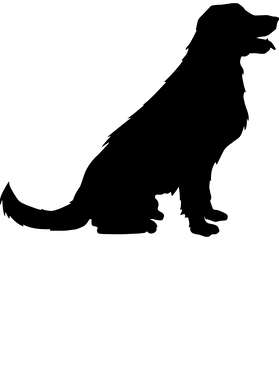 https://s3.us-west-1.wasabisys.com/ecart-content/goodnine.com/overlays/399/764/39976449.png img