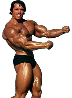 https://s3.us-west-1.wasabisys.com/ecart-content/goodnine.com/overlays/400/794/40079468.png img