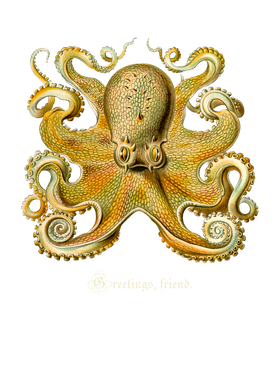https://s3.us-west-1.wasabisys.com/ecart-content/goodnine.com/overlays/400/800/40080057.png img