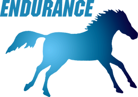https://s3.us-west-1.wasabisys.com/ecart-content/goodnine.com/overlays/400/806/40080625.png img