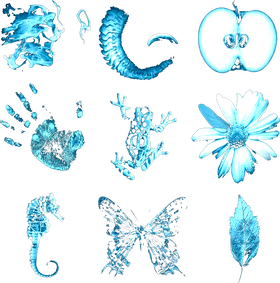 https://s3.us-west-1.wasabisys.com/ecart-content/goodnine.com/overlays/400/814/40081478.png img
