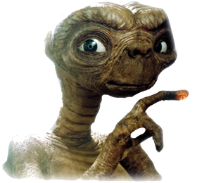 https://s3.us-west-1.wasabisys.com/ecart-content/goodnine.com/overlays/400/815/40081590.png img