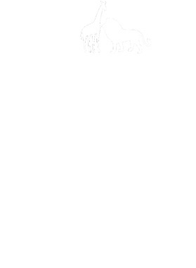 https://s3.us-west-1.wasabisys.com/ecart-content/goodnine.com/overlays/401/210/40121056.png img