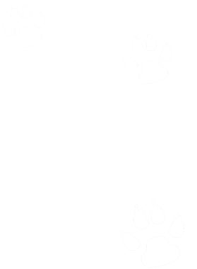 https://s3.us-west-1.wasabisys.com/ecart-content/goodnine.com/overlays/401/214/40121463.png img