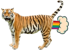 https://s3.us-west-1.wasabisys.com/ecart-content/goodnine.com/overlays/401/215/40121517.png img