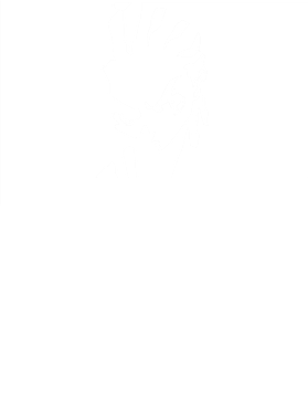 https://s3.us-west-1.wasabisys.com/ecart-content/goodnine.com/overlays/401/220/40122079.png img