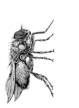 https://s3.us-west-1.wasabisys.com/ecart-content/goodnine.com/overlays/401/233/40123351.png img