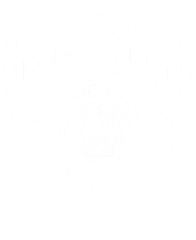 https://s3.us-west-1.wasabisys.com/ecart-content/goodnine.com/overlays/401/253/40125333.png img