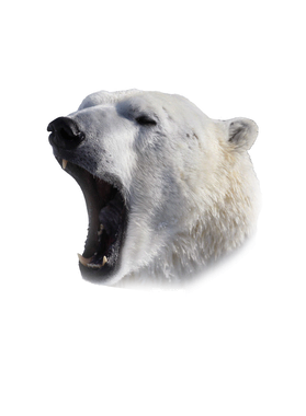 https://s3.us-west-1.wasabisys.com/ecart-content/goodnine.com/overlays/401/263/40126300.png img