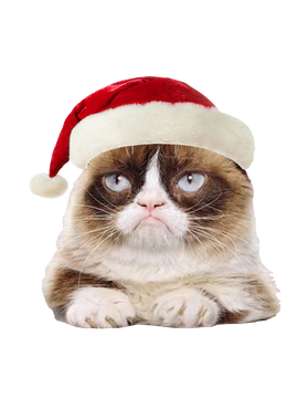 https://s3.us-west-1.wasabisys.com/ecart-content/goodnine.com/overlays/401/279/40127944.png img