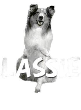 https://s3.us-west-1.wasabisys.com/ecart-content/goodnine.com/overlays/401/280/40128065.png img