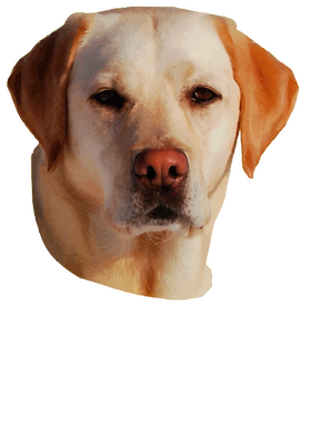 https://s3.us-west-1.wasabisys.com/ecart-content/goodnine.com/overlays/401/290/40129085.png img