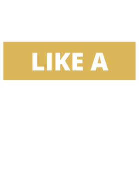 https://s3.us-west-1.wasabisys.com/ecart-content/goodnine.com/overlays/401/302/40130224.png img