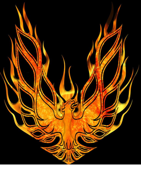 https://s3.us-west-1.wasabisys.com/ecart-content/goodnine.com/overlays/401/311/40131132.png img