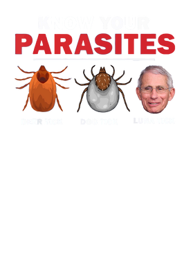 https://s3.us-west-1.wasabisys.com/ecart-content/goodnine.com/overlays/401/314/40131472.png img