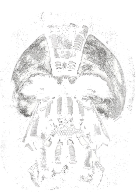 https://s3.us-west-1.wasabisys.com/ecart-content/goodnine.com/overlays/401/380/40138055.png img