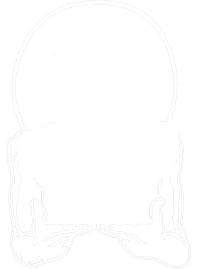 https://s3.us-west-1.wasabisys.com/ecart-content/goodnine.com/overlays/401/680/40168080.png img