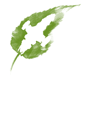 https://s3.us-west-1.wasabisys.com/ecart-content/goodnine.com/overlays/401/685/40168507.png img