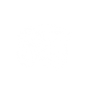https://s3.us-west-1.wasabisys.com/ecart-content/goodnine.com/overlays/401/889/40188993.png img