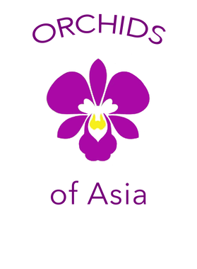 https://s3.us-west-1.wasabisys.com/ecart-content/goodnine.com/overlays/401/890/40189032.png img