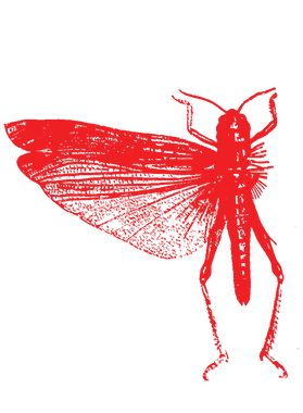 https://s3.us-west-1.wasabisys.com/ecart-content/goodnine.com/overlays/401/901/40190159.png img