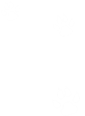 https://s3.us-west-1.wasabisys.com/ecart-content/goodnine.com/overlays/401/922/40192227.png img