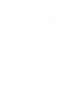 https://s3.us-west-1.wasabisys.com/ecart-content/goodnine.com/overlays/401/925/40192571.png img