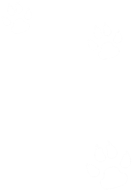 https://s3.us-west-1.wasabisys.com/ecart-content/goodnine.com/overlays/402/090/40209084.png img