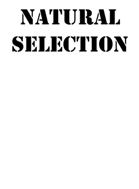 https://s3.us-west-1.wasabisys.com/ecart-content/goodnine.com/overlays/402/097/40209789.png img