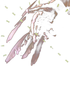 https://s3.us-west-1.wasabisys.com/ecart-content/goodnine.com/overlays/402/098/40209877.png img