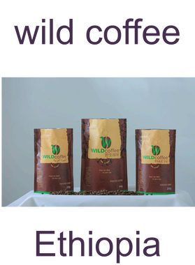 https://s3.us-west-1.wasabisys.com/ecart-content/goodnine.com/overlays/402/107/40210721.png img