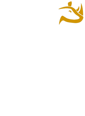 https://s3.us-west-1.wasabisys.com/ecart-content/goodnine.com/overlays/402/109/40210942.png img