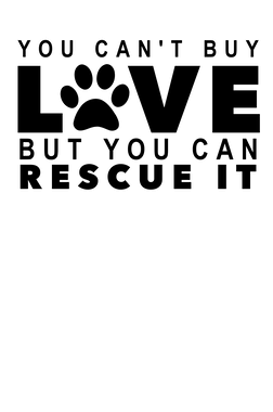 https://s3.us-west-1.wasabisys.com/ecart-content/goodnine.com/overlays/402/112/40211292.png img
