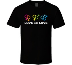 Love Is Love LGBT Gay Homosexual Bisexual Pride Awareness T Shirt