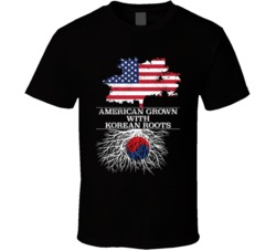 American Grown With Korean Roots National Pride Distressed T Shirt