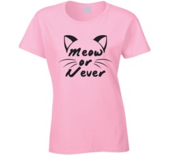 Meow Or Never Funny Cat Owner Pet T Shirt