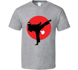 Karate Fart Funny T Shirt