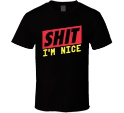 Shit I'm Nice Funny Good Guy Girl Worn Look T Shirt
