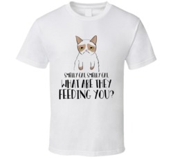 Smelly Cat What Are They Feeding You Friends Phoebe T Shirt