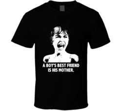 Psycho Janet Leigh A Boys Best Friend Is His Mother Favorite Movie Quo
