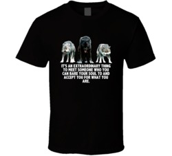 Twilight Wolf Pack Its An Extraordinary Thing To Meet Someone Movie Qu