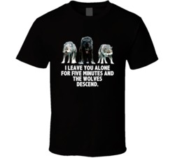 Twilight Wolf Pack I Leave You Alone For Five Minutes Movie Quotes T S