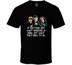 Harry Potter Hermione Ron It Matters Not What Someone Is Born Movie Qu