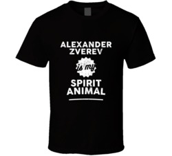 Alexander Zverev Is My Spirit Animal Tennis Player Germany Athlete Fan