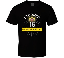 I Turned 16 In Quarantine 2020 Birthday Gift T Shirt